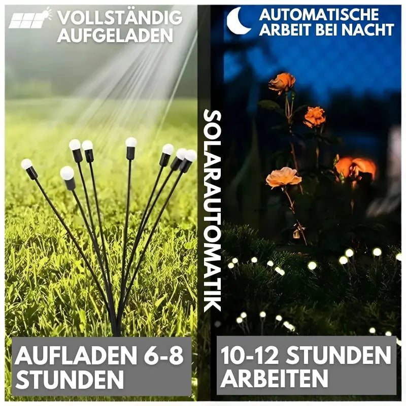 1+1 Gratis | Strahlende Solar LED Garten Feuerwerk Lichter Mivoza Deutschland