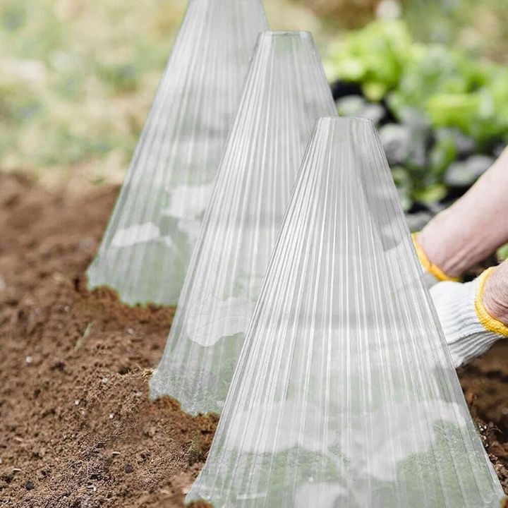 20 Stück Pflanzenschutzhauben für Setzlinge, Gemüse & Blumen