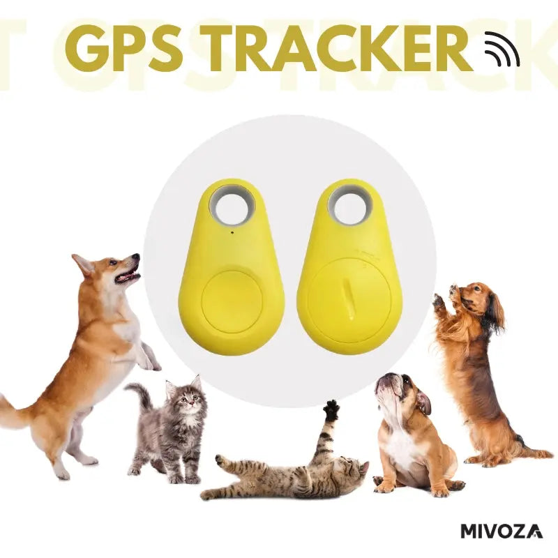 2+1 Gratis | ModernTracker™ Immer auf dem Laufenden! Mivoza Deutschland
