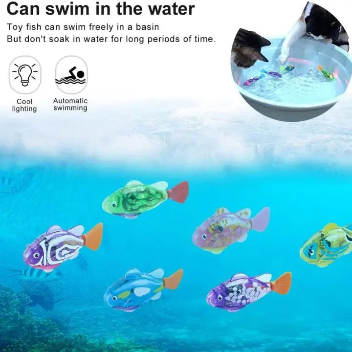 2+2 Gratis | Interaktives Katzenspielzeug für Wasserspaß Mivoza Deutschland