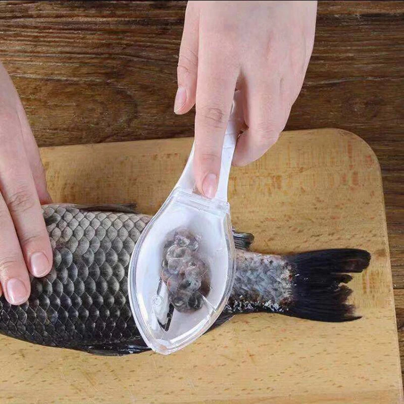 Fischentschupper mit Deckel – Sauber und Einfach Schuppen Entfernen Mivoza Deutschland