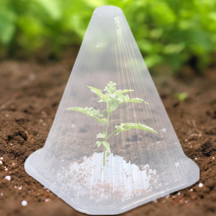 20 Stück Pflanzenschutzhauben für Setzlinge, Gemüse & Blumen