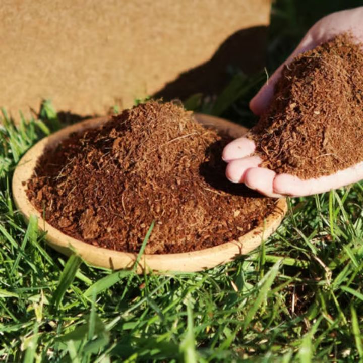5 Stück Kokosfaser Pflanzpads – umweltfreundliche Blöcke für Garten Mivoza Deutschland