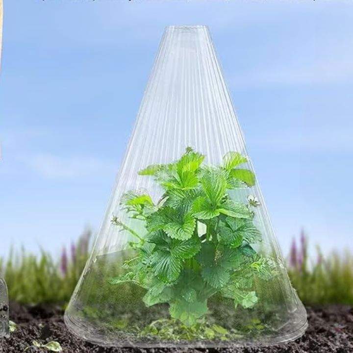 20 Stück Pflanzenschutzhauben für Setzlinge, Gemüse & Blumen