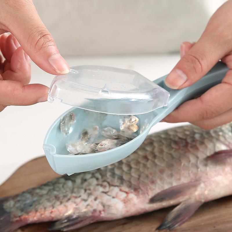 Fischentschupper mit Deckel – Sauber und Einfach Schuppen Entfernen Mivoza Deutschland