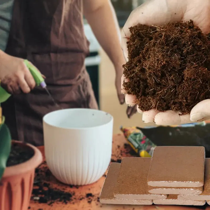 Organisches Kokosfaser-Erde-Alternative für den Gartenbau Mivoza Deutschland