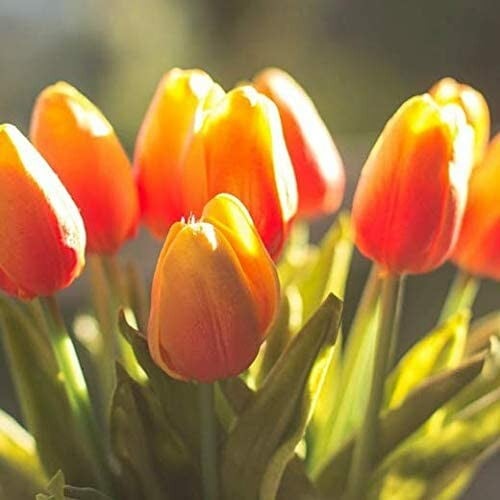10er-Set Künstliche Tulpen aus Latex – Stilvolle und langlebige Dekoblüten Mivoza Deutschland