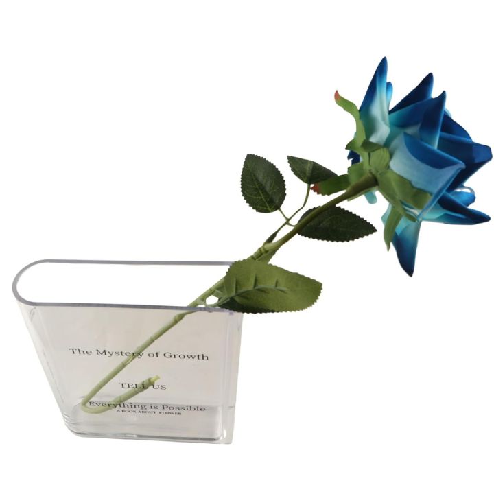 Acryl Buchvase – Modernes Design mit unsichtbarer Buchoptik Mivoza Deutschland