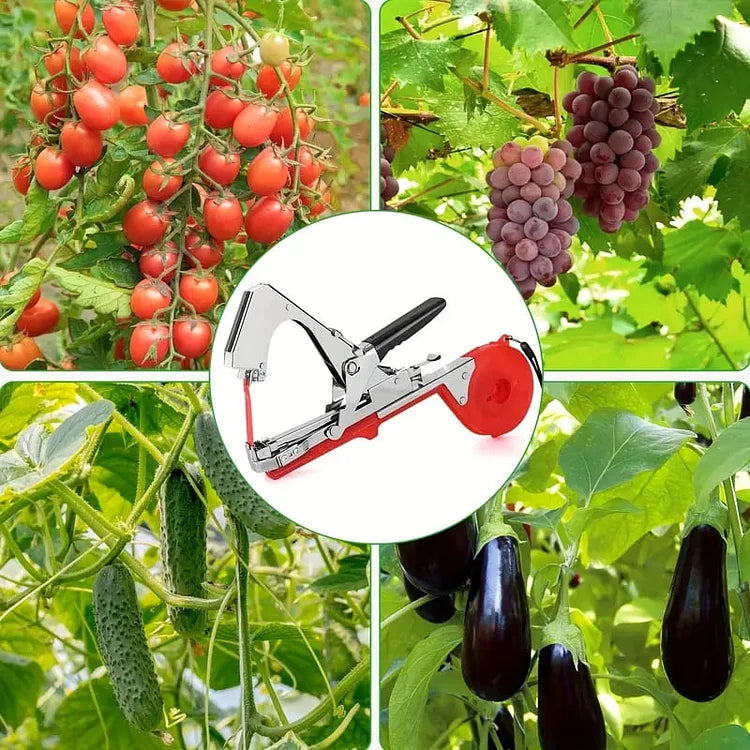 Gartenpflanzen-Bindegerät-Set | Gratis 10 Rollen Klebeband und 10.000 Heftklammern Mivoza Deutschland