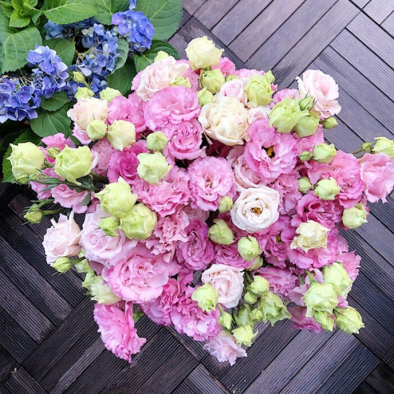200 Samen Eustoma-Dornlose Rosensamen – Schnelles Keimen & Lange Blütezeit Mivoza Deutschland