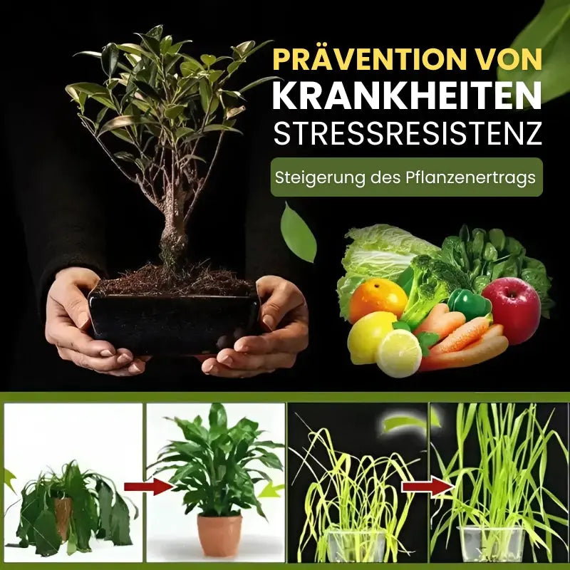 Aktivator für Gartenerde Mivoza Deutschland
