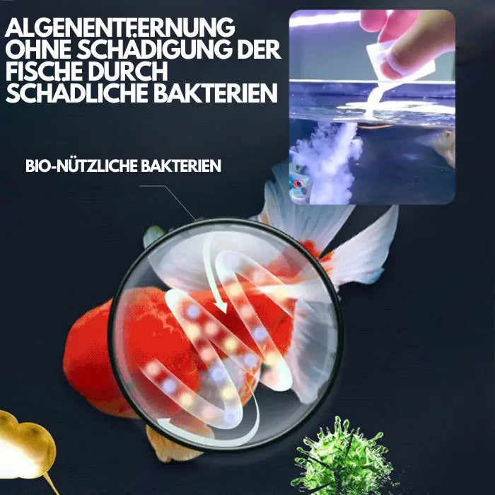 Aquarium-Wasserreiniger-Lösung Mivoza Deutschland