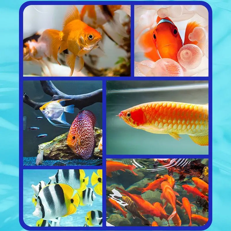 Aquarium-Wasserreiniger-Lösung Mivoza Deutschland