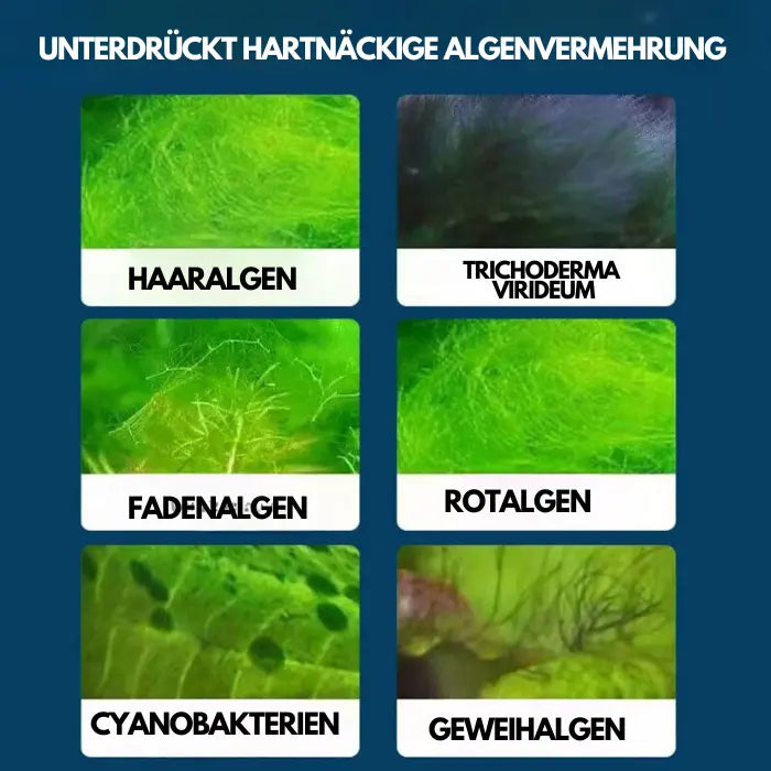 Aquarium-Wasserreiniger-Lösung Mivoza Deutschland