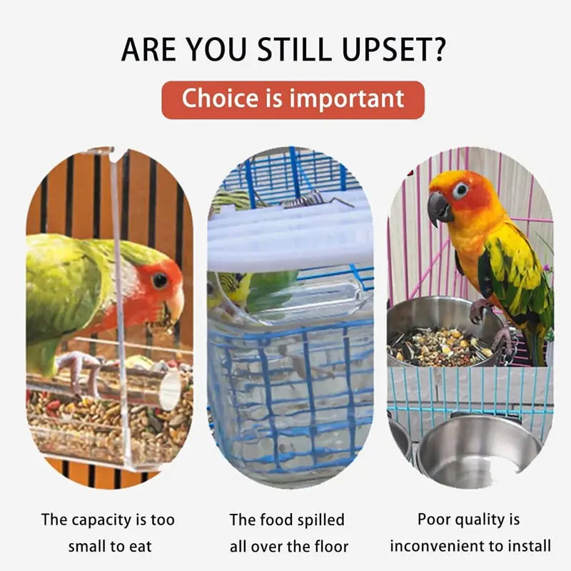 Automatischer Vogelfutterspender – Kein Schmutz, kein Stress Mivoza Deutschland