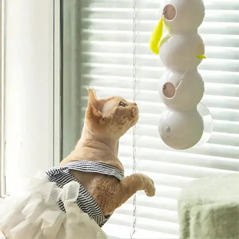 Bewegliches Wurmspielzeug für Katzen – Für endlosen Spaß & Aktivität Mivoza Deutschland