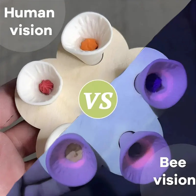 Bienen-Insekten-Trinkbecher | 5er-Pack Mivoza Deutschland