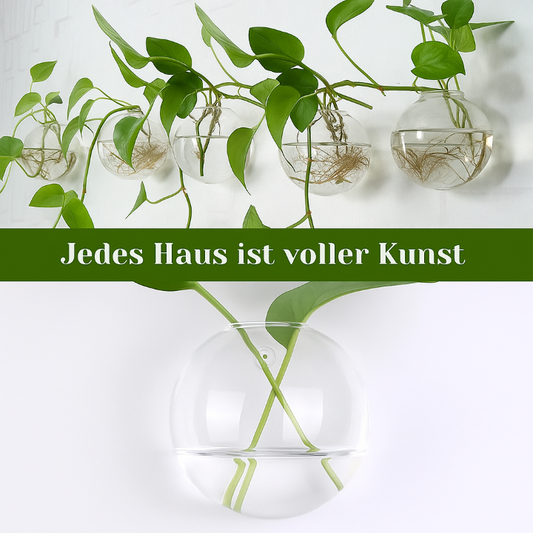 Wandpflanzenhalter ohne Bohren – Vertikaler Garten & Dekorative Fischschale