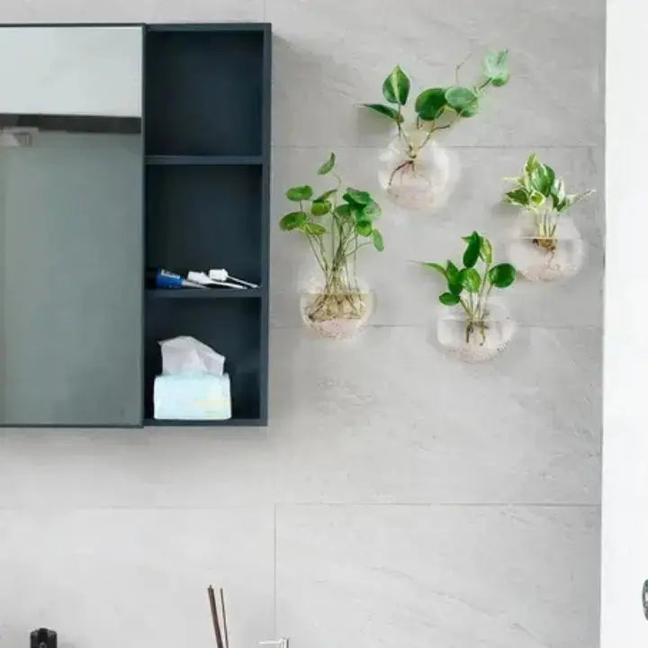 1+1 Gratis | Elegante Glas-Wandvase – Minimalistischer Pflanzenhalter Mivoza Deutschland