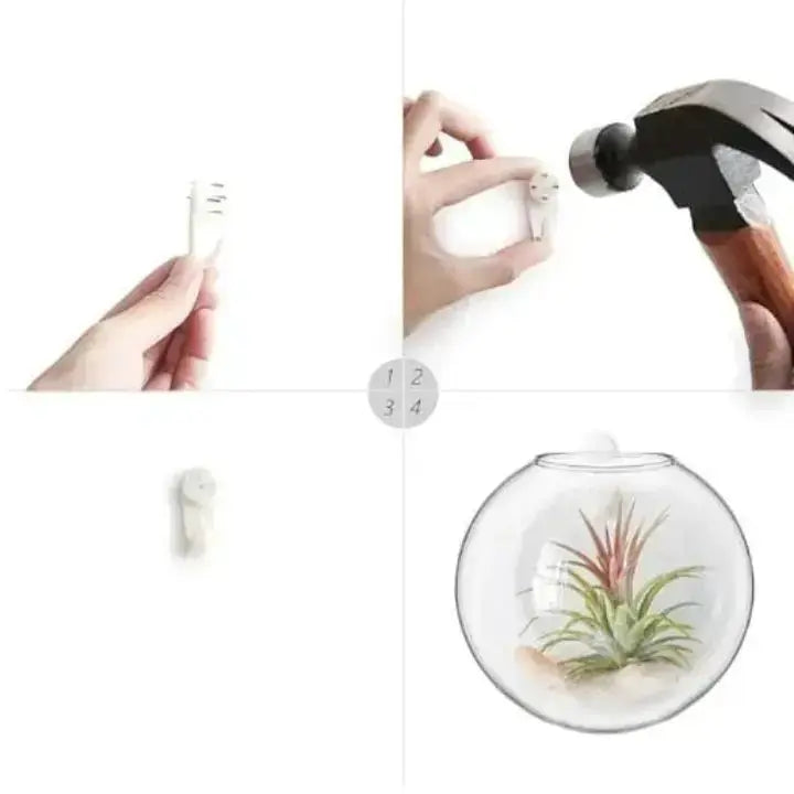 1+1 Gratis | Elegante Glas-Wandvase – Minimalistischer Pflanzenhalter Mivoza Deutschland