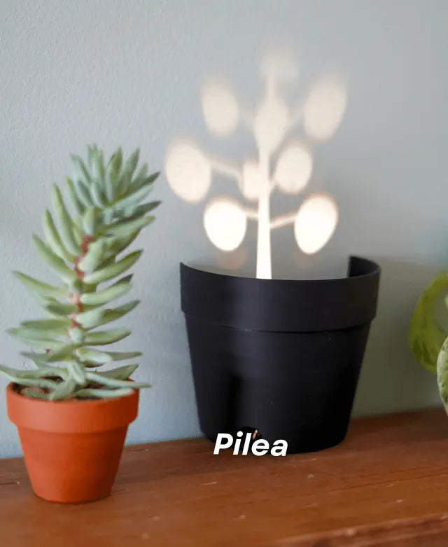 Garten-Graveyard-Pflanzentopf mit LED-Lichtprojektion Mivoza Deutschland