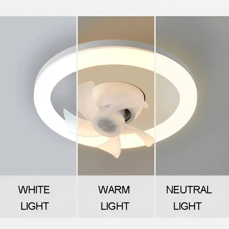 GlowBreeze™ | Lass ein neues Licht leuchten, wirble in den Komfort! Mivoza Deutschland