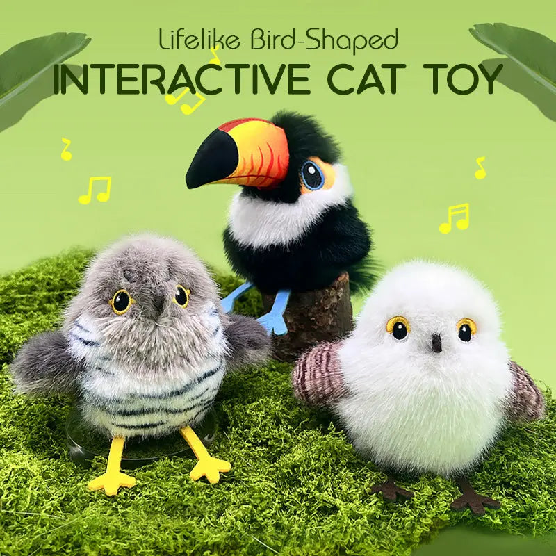 Interaktiver Vogel für Katzen – Mit Zwitschern Mivoza Deutschland
