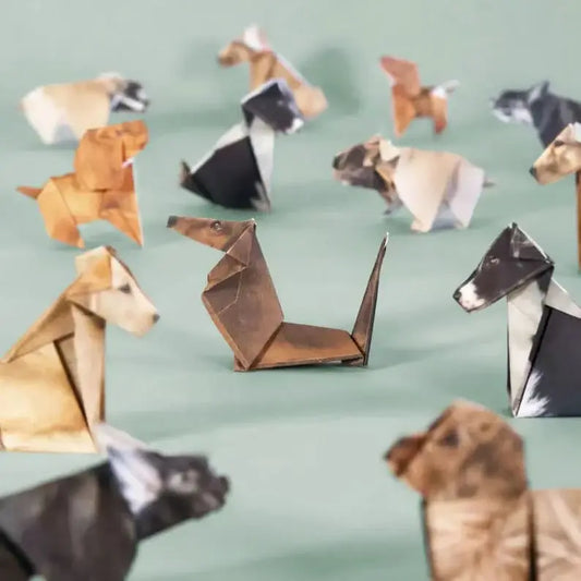 Katzen Origami Faltpapier — Perfekt für Partys, Unterricht & DIY-Deko Mivoza Deutschland
