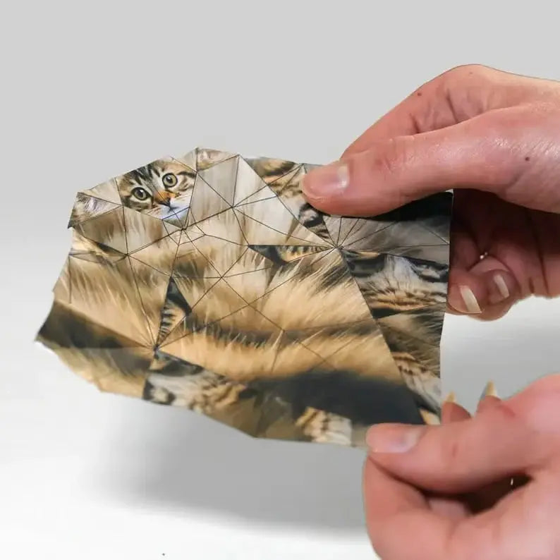Katzen Origami Faltpapier — Perfekt für Partys, Unterricht & DIY-Deko Mivoza Deutschland