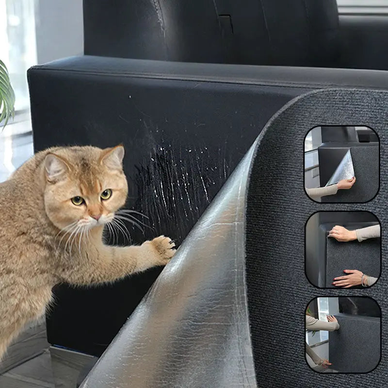 Katzenkratzmatte – Schützt Möbel ohne klebrige Rückstände Mivoza Deutschland