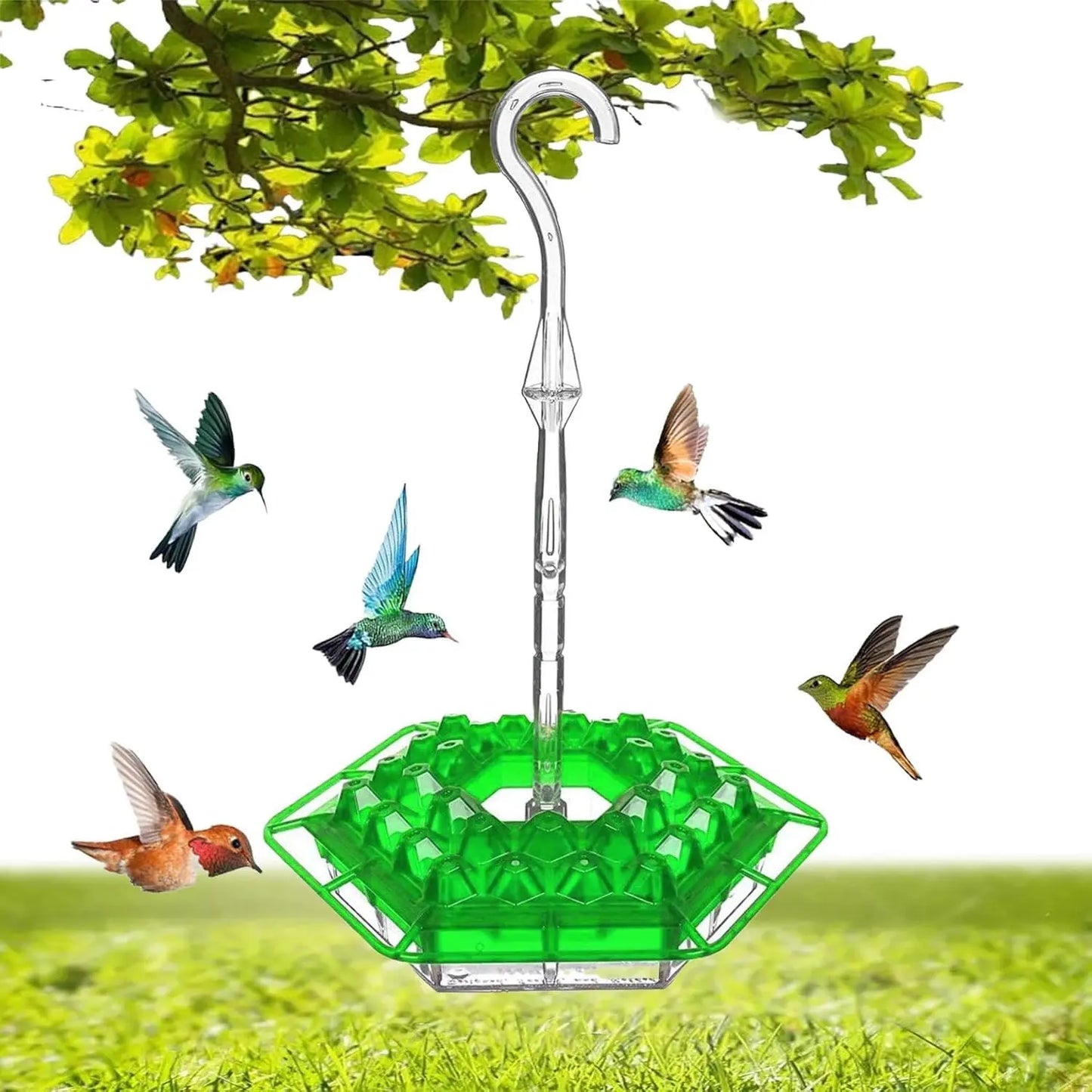 Kolibri-Futterspender zum Aufhängen – Für einen lebendigen Garten voller Farbe und Leben Mivoza Deutschland