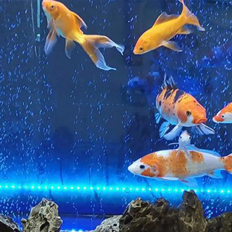 LED-Aquarium-Luftsprudler mit Farbwechselbeleuchtung Mivoza Deutschland