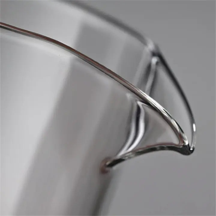 Magnetische Glas-Teekanne mit integriertem Tee-Ei Mivoza Deutschland