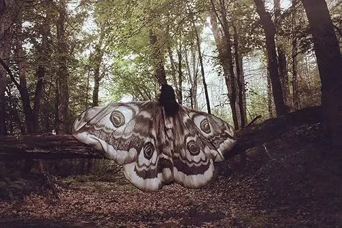 Mystischer Umhang „Grey Moth“ – Eleganz & Zauber in einem atemberaubenden Cape Mivoza Deutschland