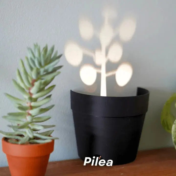 Pflanzentopf mit 7 Lichtprojektionen für Wanddeko Mivoza Deutschland