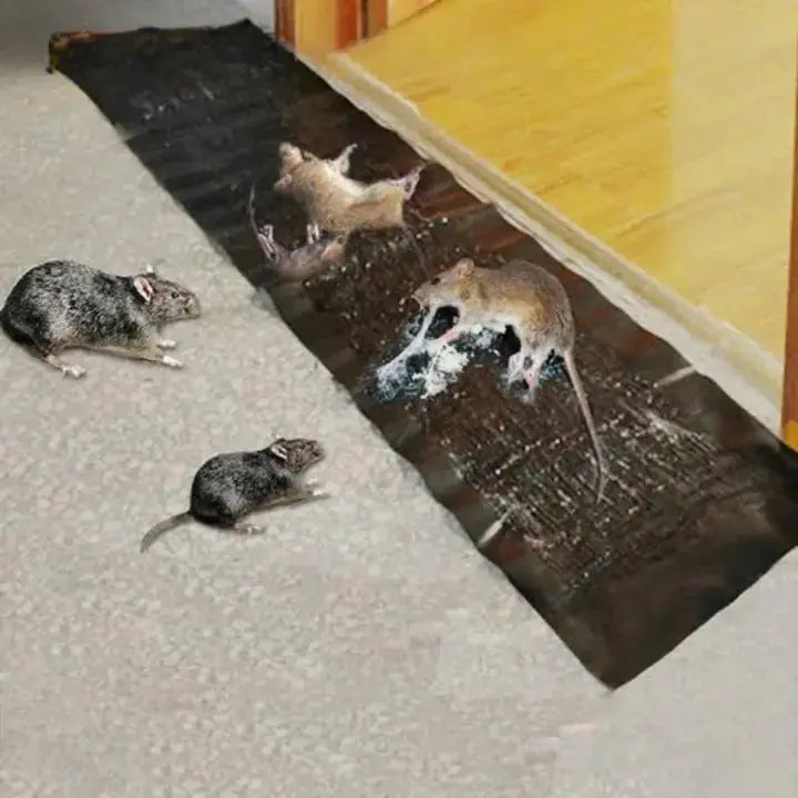 1+1 Gratis | Extra Starke Ratten-Stickyfalle Mivoza Deutschland