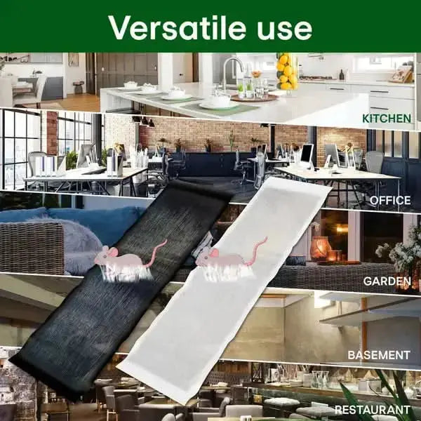1+1 Gratis | Extra Starke Ratten-Stickyfalle Mivoza Deutschland