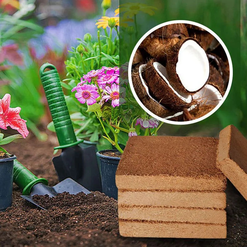 1+2 GRATIS | Premium Bio-Kokoserde Ziegel – Natürliches Pflanzenwachstum fördern Mivoza Deutschland
