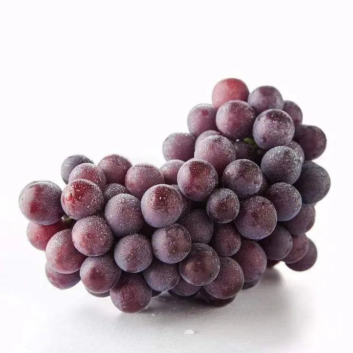 Grape Tree Seeds: Thin-Skinned, Large, and Seedless 🍇🌿 Zorenza