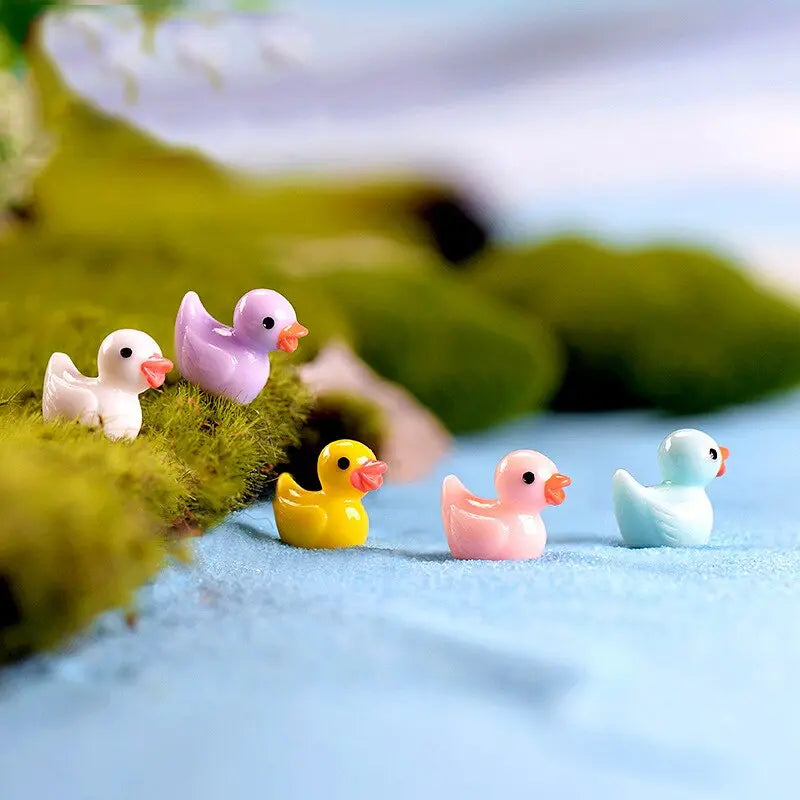 TinyDucks™ Herausforderung Versteckte Enten (100 Stück) Mivoza Deutschland