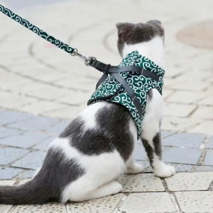 Verstellbares Geschirr- und Leinen-Set für Katzen und Hunde Mivoza Deutschland