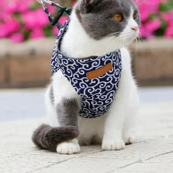 Verstellbares Geschirr- und Leinen-Set für Katzen und Hunde Mivoza Deutschland