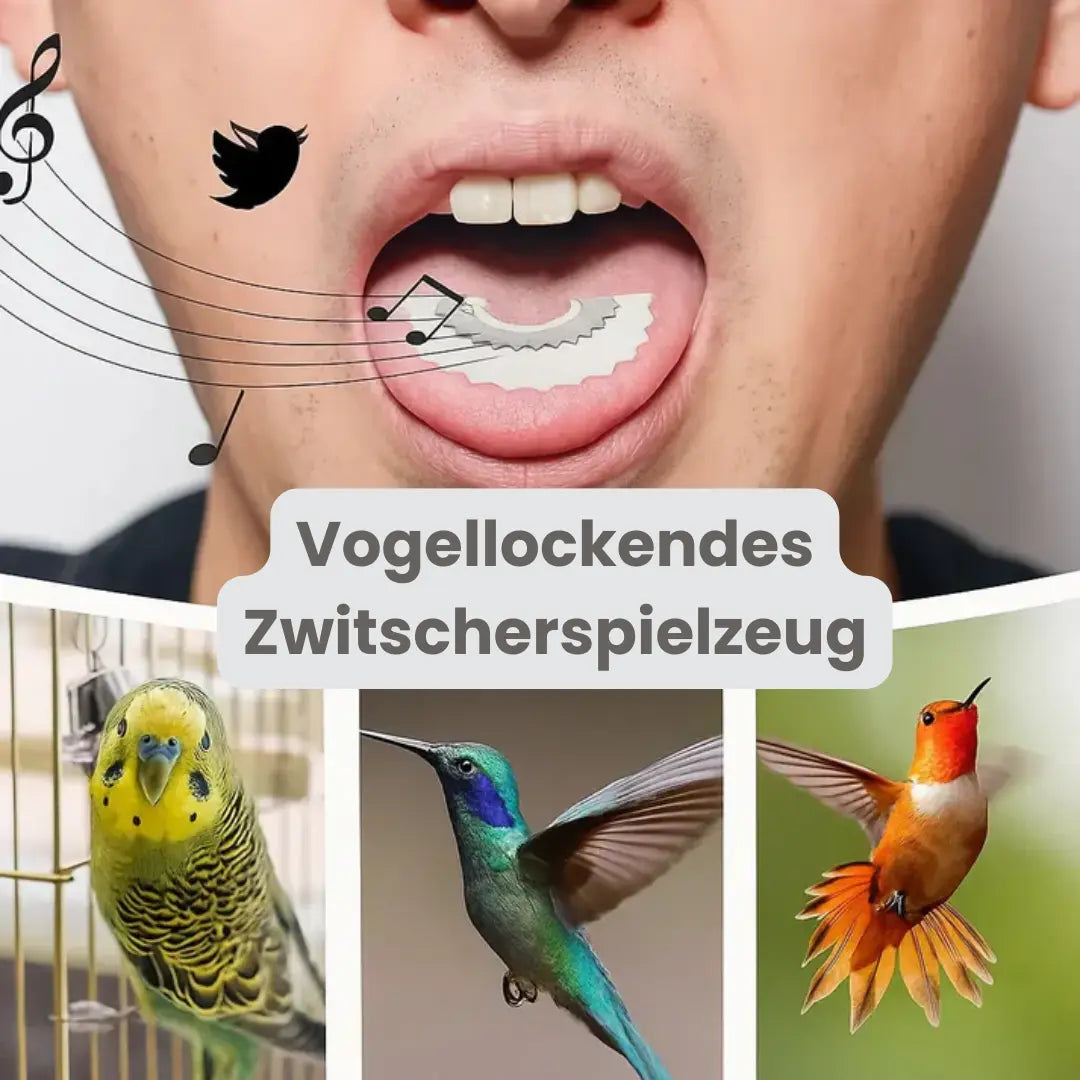 Vogellockendes Zwitscherspielzeug – Gartendekoration mit echtem Zwitschern Mivoza Deutschland