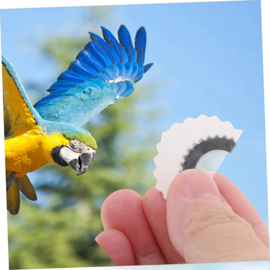 Vogelruf-Mundstück – Lockt echte Singvögel an Mivoza Deutschland