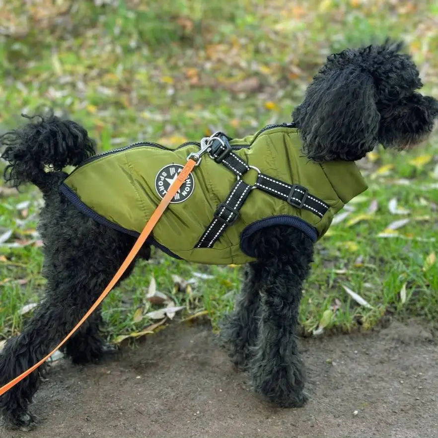 Wasserdichter Hundemantel Mivoza Deutschland