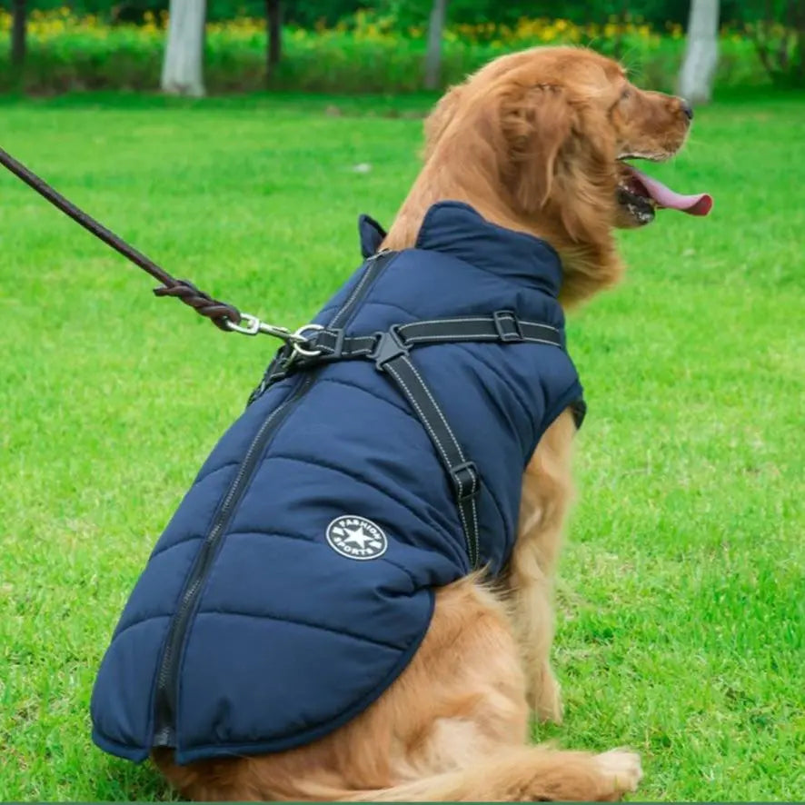 Wasserdichter Hundemantel Mivoza Deutschland