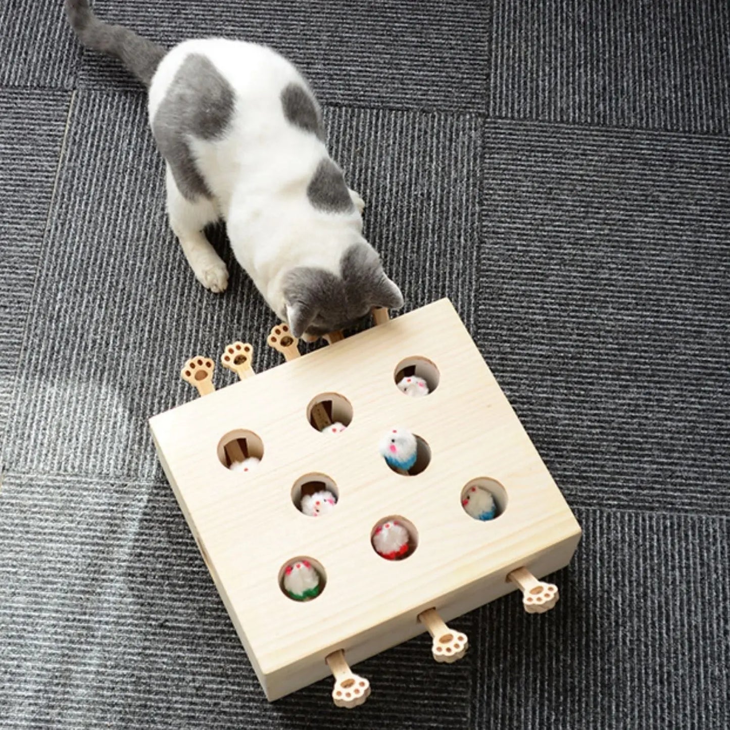 Whack-a-Mole Katzenspielzeug aus Holz Mivoza Deutschland