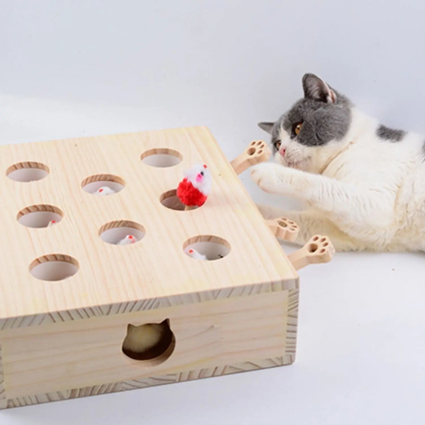 Whack-a-Mole Katzenspielzeug aus Holz Mivoza Deutschland