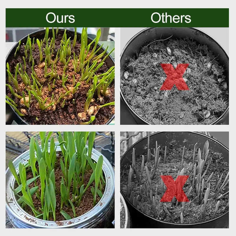 Organisches Kokosfaser-Erde-Alternative für den Gartenbau Mivoza Deutschland