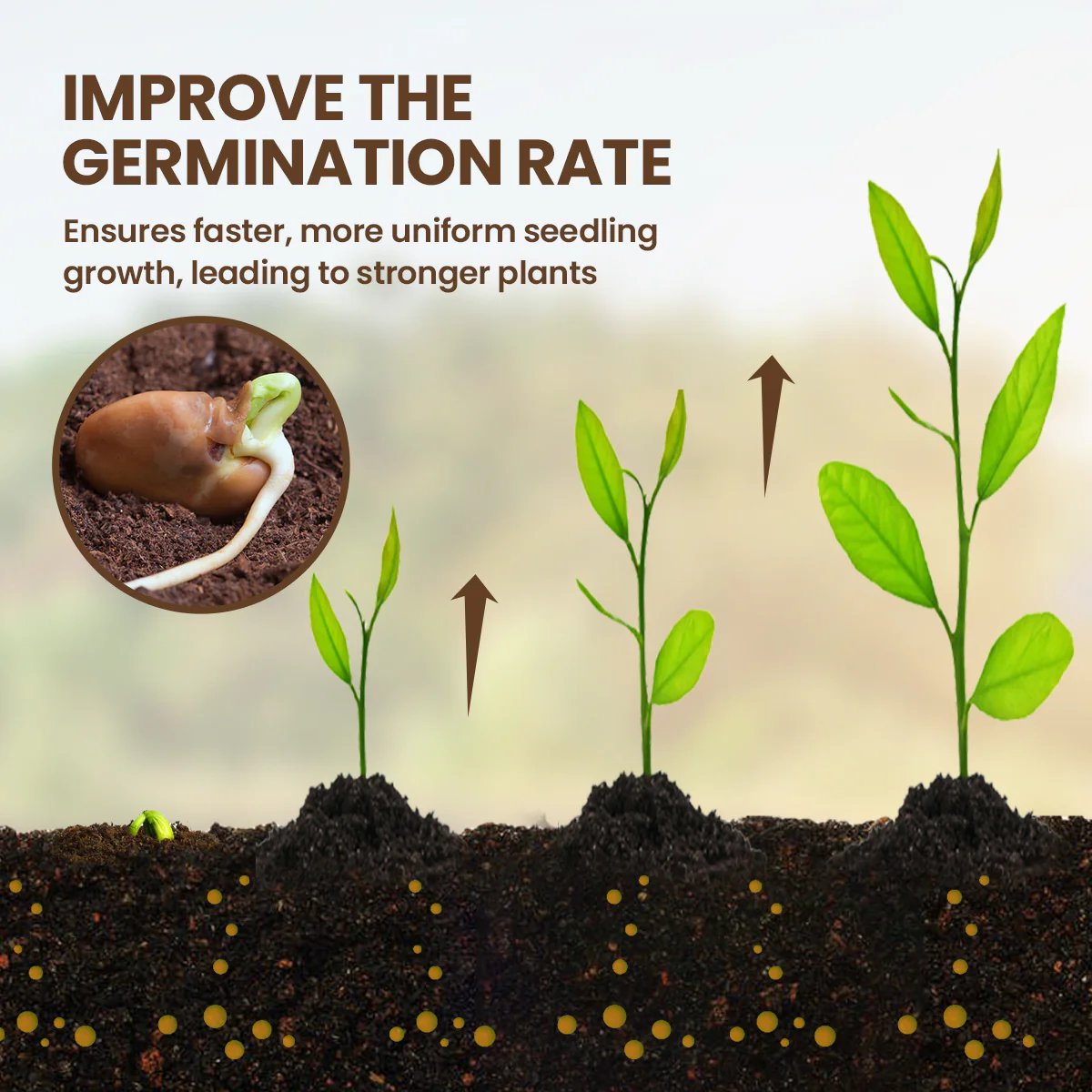 Bodenaktivator – Gesündere Pflanzen Schnell (3 Stück)